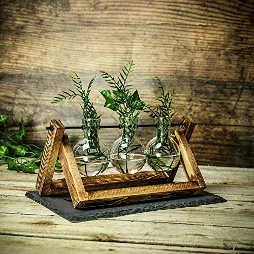Bulb Vases with Wooden Stand | Vintage Style Plant Stand | 3 Vase Propagation Station | Desktop Glass Planter | Hydroponic Table Top Planter | M&W - DealYaSteal